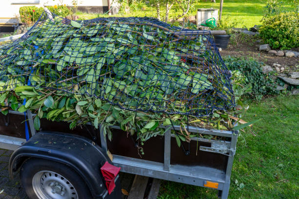 Best Dumpster Rental Services  in Basin, WY